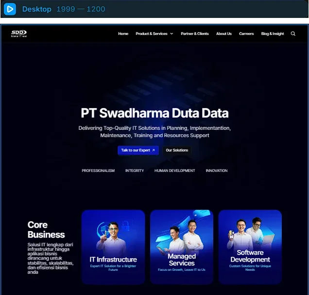 SDD Phase 1 website homepage with core business service cards